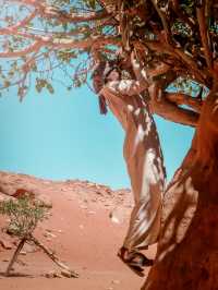 Mars on Earth 😍 - Wadi Rum Jordan's dessert⚡️