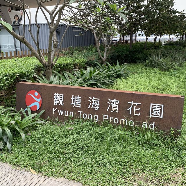 午飯後去散下步真係幾舒服😌