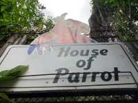 สวนนกภูเก็ต "Phuket Bird Park"