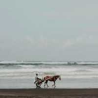 Parangtritis Beach, Jogjakarta