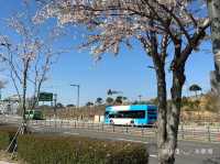 🇰🇷韓國｜釜山➰天然唯一海岸邊《海東龍宮寺》寧靜的心靈之旅