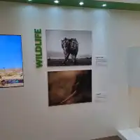 大自然保護協會攝影比賽作品展的個人體驗及感受