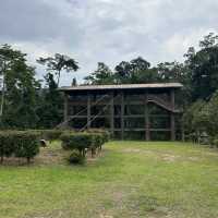 國家公園的大象保育公園 🐘