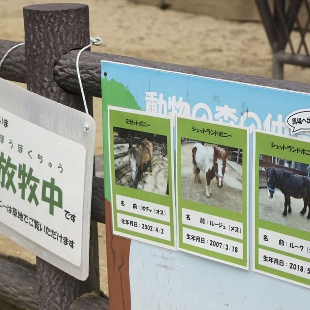 動物王國大冒險！探索福岡市動物園的奇妙世界！🦁🐼🐒