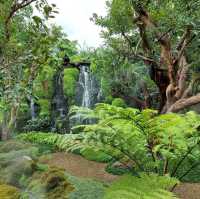 คาเฟ่สวยธีมป่าในเทพนิยาย