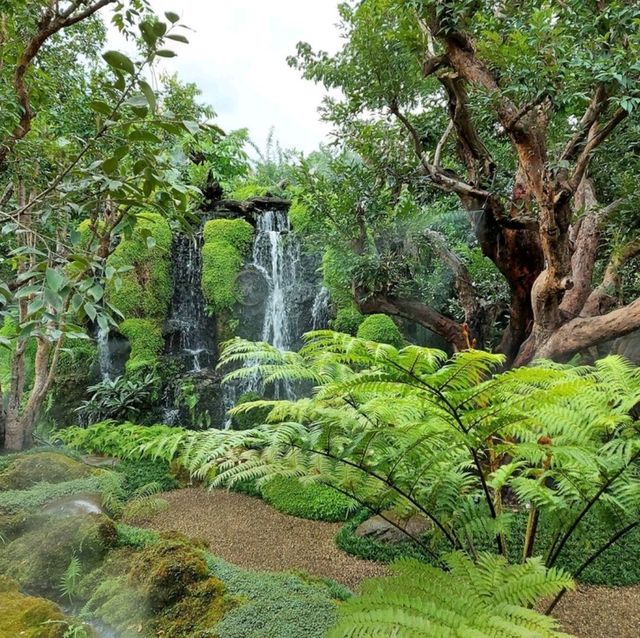คาเฟ่สวยธีมป่าในเทพนิยาย