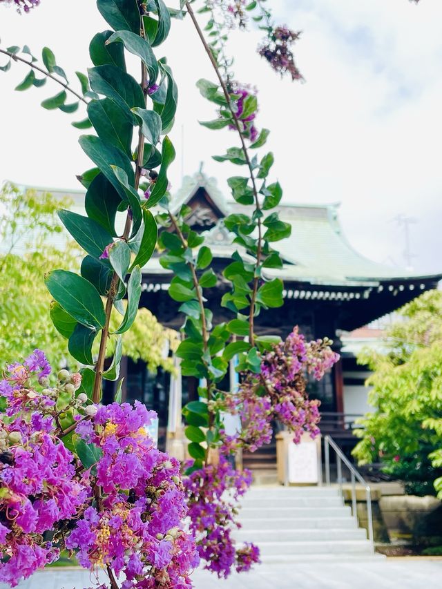 【東京都/桜神宮】神社とラグビーのコラボ