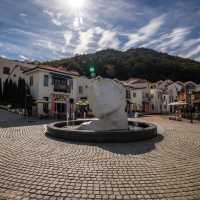 The Beauty of Damyang Meta Provence