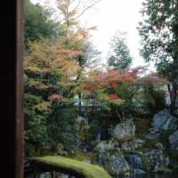 🍁🏯 中將庵～禪意自然日式庭院，紅葉美景如詩！🌿🍂🍁