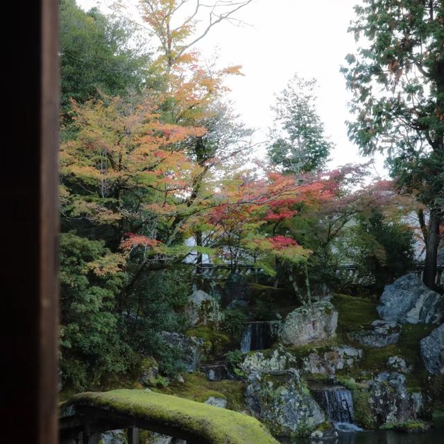 🍁🏯 中將庵～禪意自然日式庭院，紅葉美景如詩！🌿🍂🍁