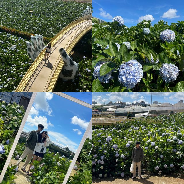𝐃𝐀𝐋𝐀𝐓 𝐕𝐈𝐄𝐓𝐍𝐀𝐌 💐🚍📝