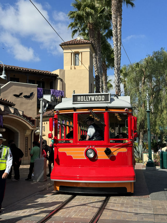 🎡❤️Disney California Adventure