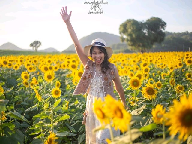 🌻ทุ่งทานตะวัน🌻@ไร่มณีศร