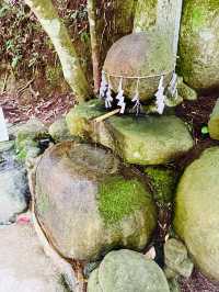 【島根県/玉作湯神社】2023年行ってよかった！島根県の神社①