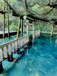 【絶景】神秘的な美しさのパワースポット⛩