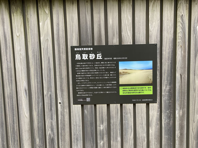 鳥取。大きな砂場のような『鳥取砂丘』を歩く🚶 鳥取。大きな砂場のような『鳥取砂丘』を歩く🚶