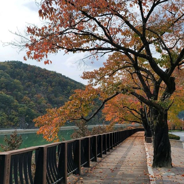 가을 단양은 최고입니다!