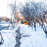 เที่ยวจีนเมืองเล็กๆชานเมืองหิมะฟูๆถ่ายรูปสวยมาก