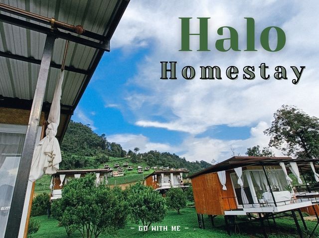 ฮาโล โฮมสเตย์ Halo Homestay อ.แม่แตง จ.เชียงใหม่