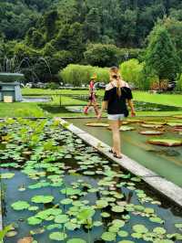 Nature retreats@Penang Botanic Gardens 🌿🦋