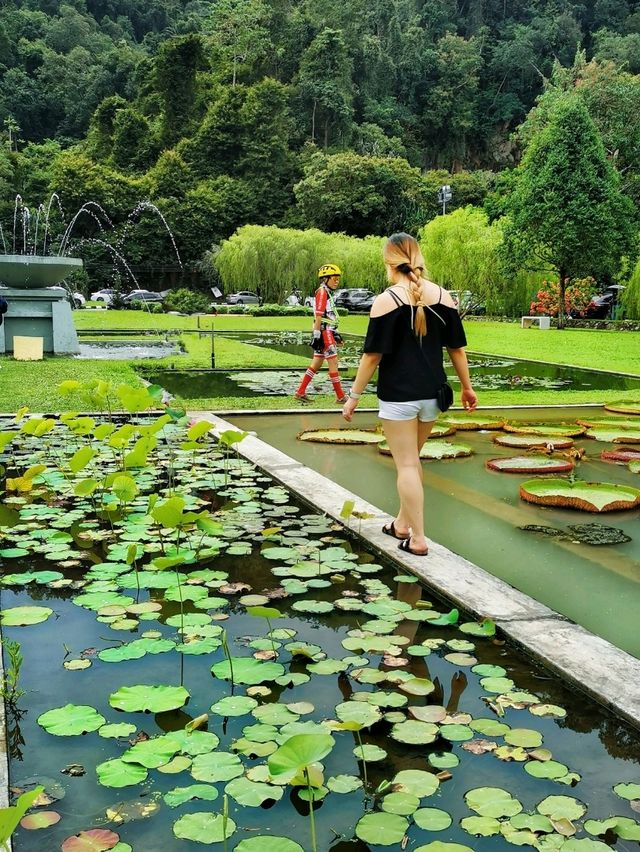 Nature retreats@Penang Botanic Gardens 🌿🦋