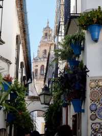 Andalusian Magic 🪄 