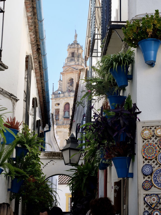 Andalusian Magic 🪄 