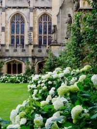 Dream come true at Oxford University