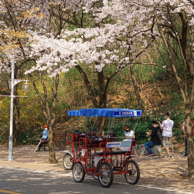The beautiful walking path of Korea