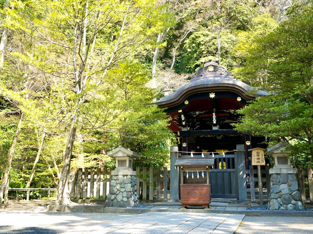 The iconic shrine in Kamakura