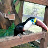 Best Park for Kids in Yercaud hill station 