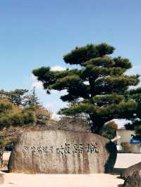 🇯🇵日本國寶姬路城👣世界文化遺產之一