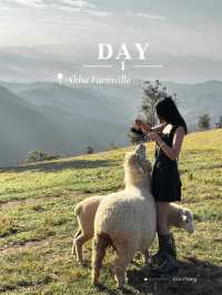 Akha Farmville (ดอยช้าง)