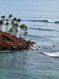 Coconut Tree Hill - Mirissa