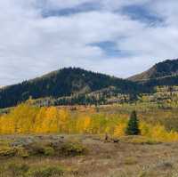 Fall Colors Outside Salt Lake City 