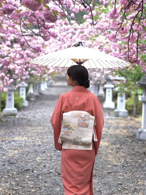 幾重にも重なった美しい花びらの遅咲きの桜🌸八重桜