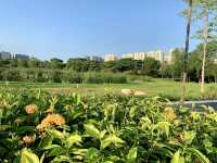Sengkang Riverside Park