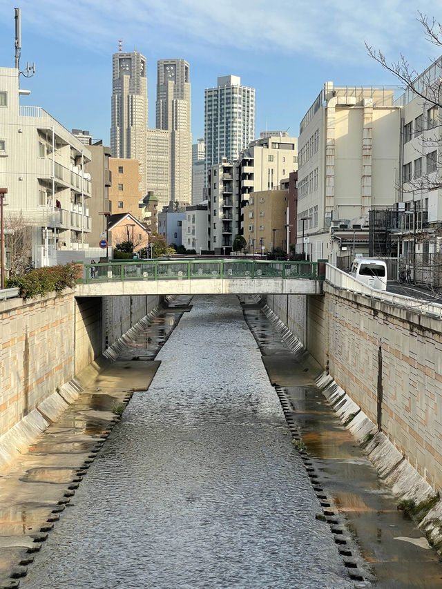 【八津御嶽神社/東京都】美術館風の建物とステンドグラスがある神社