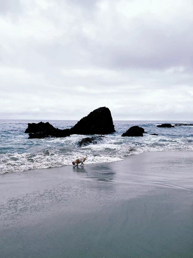 สำรวจความสนุกที่หาไมแฮตแตนบีช 🏖️🇺🇸