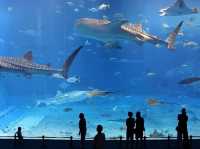 Dubai Aquarium