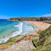 Bondi to Coogee Walk