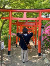 【栃木】足利織姫神社で七つの良い縁をゲットしよう