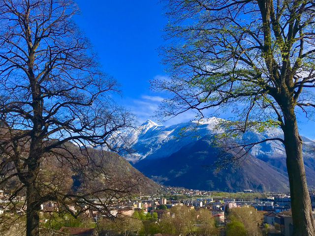 The majestic Alps as a backdrop. 