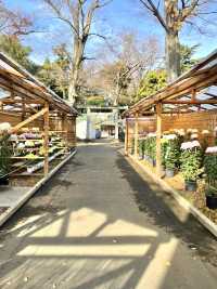 【一言主神社/茨城県】一言の願いでも聞き入れる神様