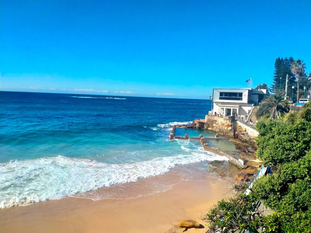 A popular beach in Sydney