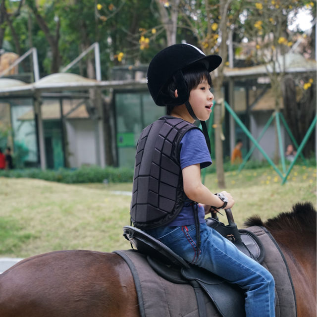 充滿驚喜的動物園