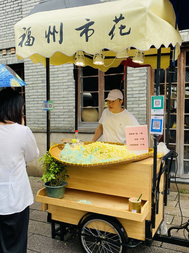 Fuzhou Three Lanes and Seven Alleys 三坊七巷🌼