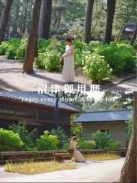 沼津の紫陽花　和スポット！沼津御用邸記念公園