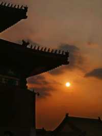 北京丨紅墻內的景色丨北京故宮博物院