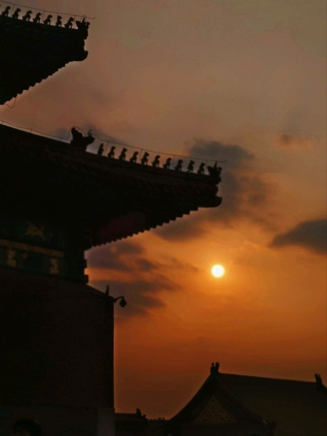 北京丨紅墻內的景色丨北京故宮博物院